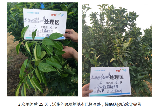 1531214131554194bDeF.png 圖片9.png