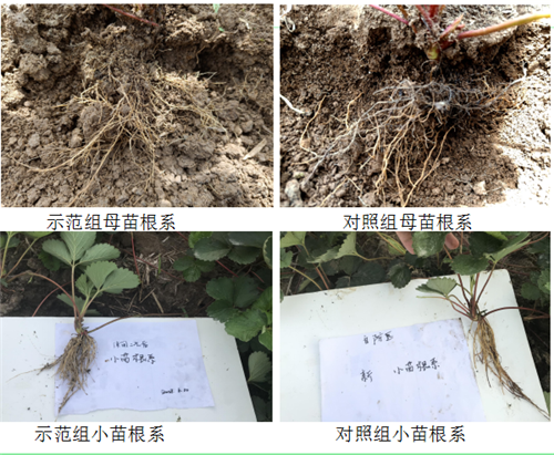 1531214579613447FrcG.png 圖片12.png