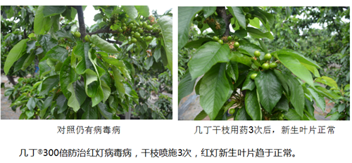 1531215041949795Sufk.png 圖片13.png