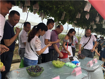 1533177017610708Mmdv.png 圖片17.png