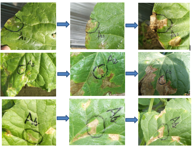 1544756019714824Mp4K.png 圖片.png