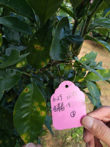 1557822162677592lBTC.png 圖片9.png