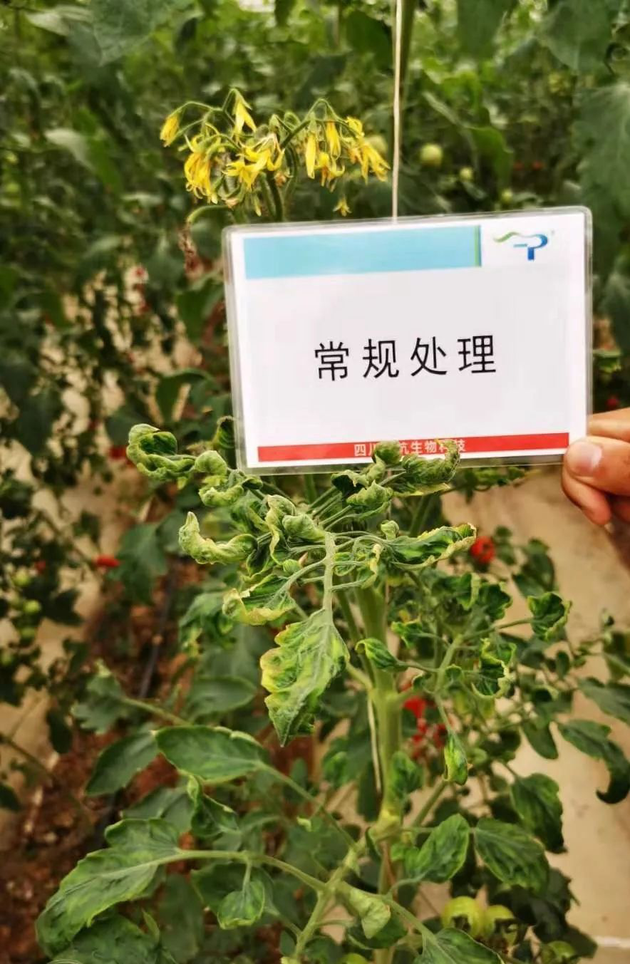 15724247663679850zt9.png 圖片7.png