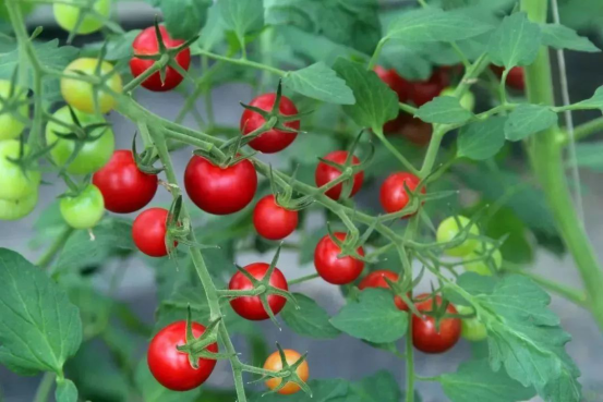 1574819674227701WA1q.png blob.png