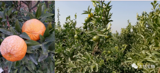 1587375494638059xyRo.png image.png