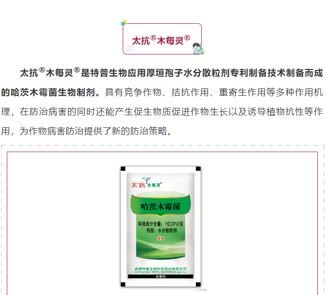 1610506415536163bzfG.png blob.png