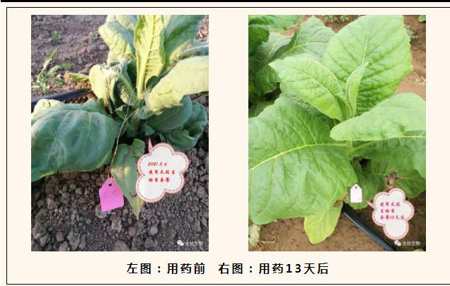 1634826461104729Z6wg.jpg 微信截圖_20211021221442.jpg