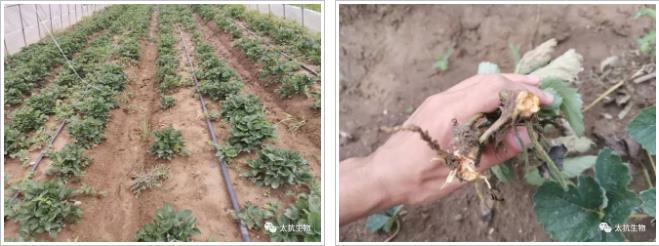 1638333810412769i5jm.jpg 1.jpg