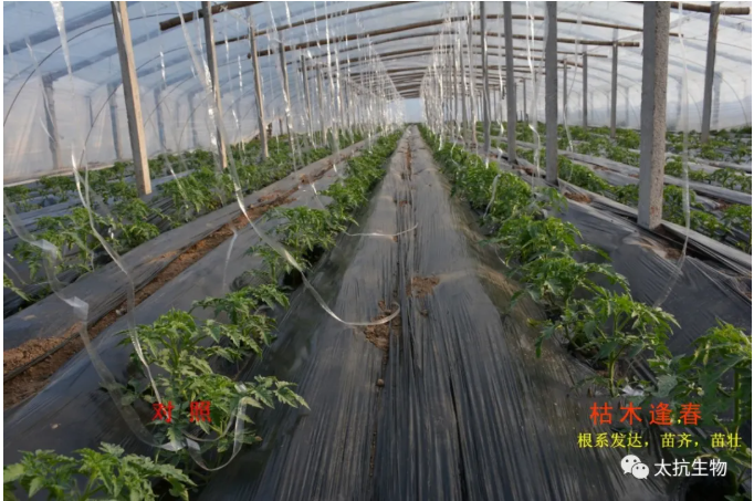 16383488196801655MBq.png 微信截圖_20211201170106.png