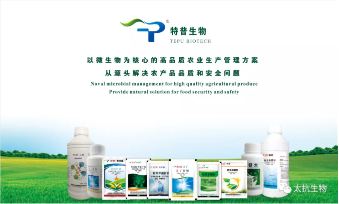 16393741716971444Lz6.png 微信截圖_20211213134032.png